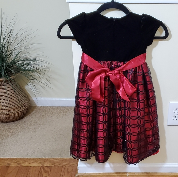 Cinderella Velvet Embroidered Girls Dress - Picture 6 of 8